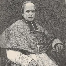 Portrait of Henri-Marie-Gaston Boisnormand de Bonnechose