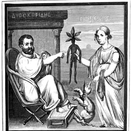 Portrait of Pedanius Dioscorides