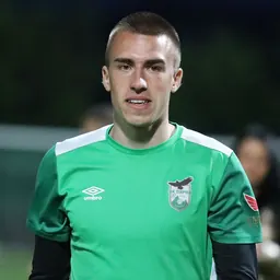 Portrait of Dimitar Sheytanov