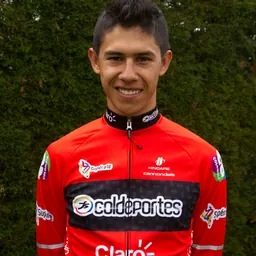 Portrait of Javier Gómez
