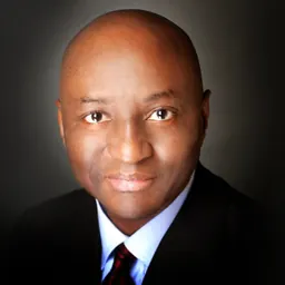 Portrait of Tayo Aderinokun