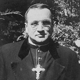 Portrait of Vladimiro Boric Crnosija