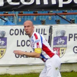 Portrait of Sergiu Costin