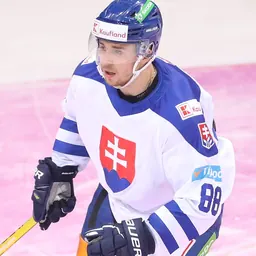 Portrait of Kristián Pospíšil