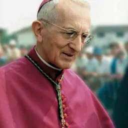 Portrait of Antonio Mistrorigo