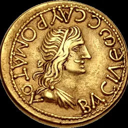 Portrait of Tiberius Julius Sauromates I