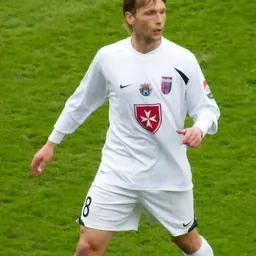 Portrait of Attila Polonkai