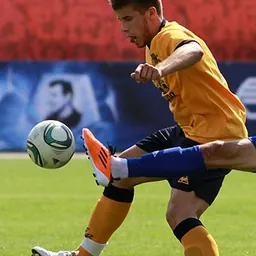 Portrait of João Pedro Pereira Silva