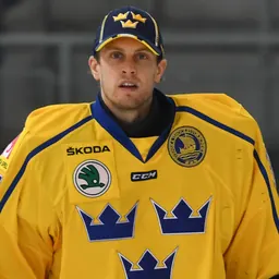 Portrait of Niklas Svedberg