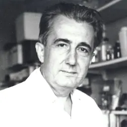 Portrait of Mirko Beljanski