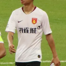 Portrait of Feng Gang