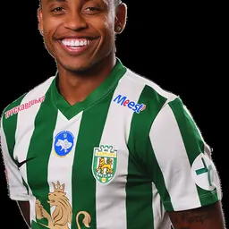 Portrait of Paulo Vitor Fernandes Pereira