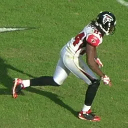 Portrait of Roddy White