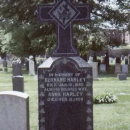 Portrait of Bernard Harley