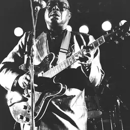 Portrait of Jimmy Rogers