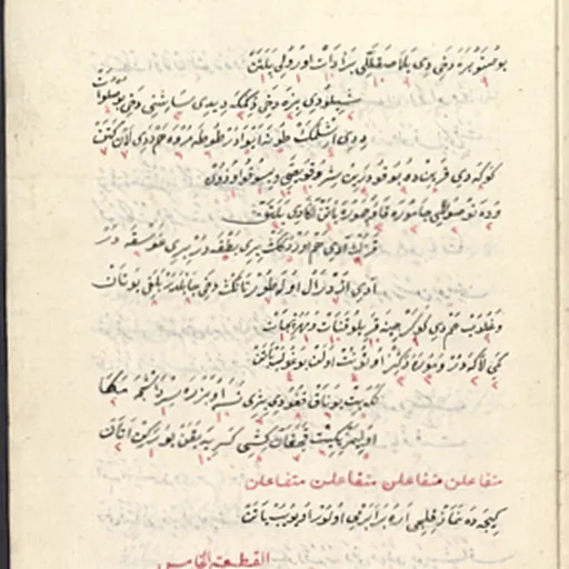 Portrait of Muhamed Hevaji Uskufi Bosnevi