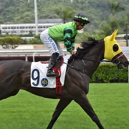 Portrait of Silvestre de Sousa