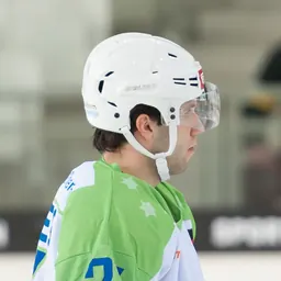 Portrait of Rok Tičar