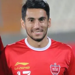 Portrait of Mehdi Shiri