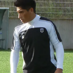 Portrait of Diego Gómez