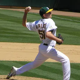 Portrait of Brad Halsey