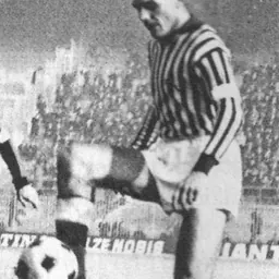 Portrait of Luís Vinício