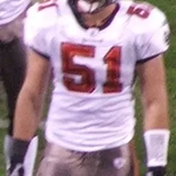 Portrait of Barrett Ruud