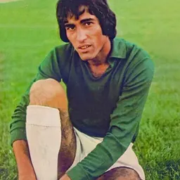 Portrait of Reza Ghoflsaz