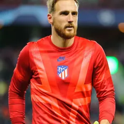 Portrait of Jan Oblak
