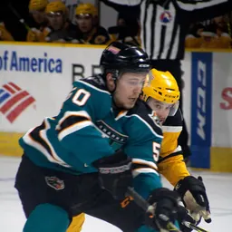 Portrait of Chris Tierney
