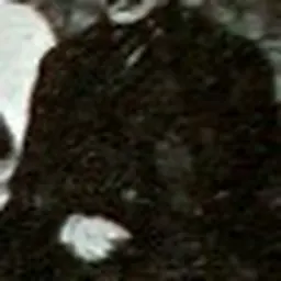 Portrait of Thomas D. Good