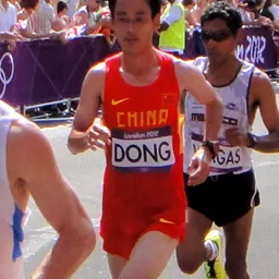 Portrait of Dong Guojian