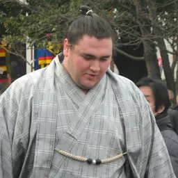 Portrait of Wakanohō Toshinori