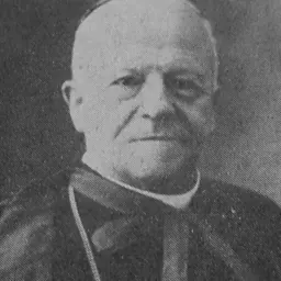 Portrait of Federico Cattani Amadori