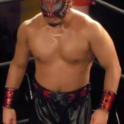 Portrait of Tigers Mask