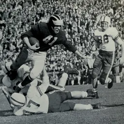 Portrait of Terry Barr