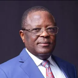 Portrait of David Nweze Umahi