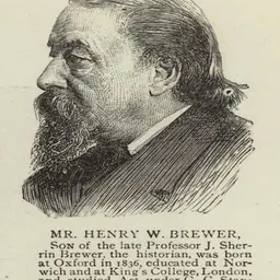 Portrait of Henry William Brewer