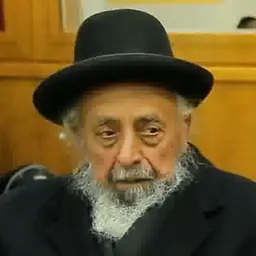 Portrait of Shimon Baadani