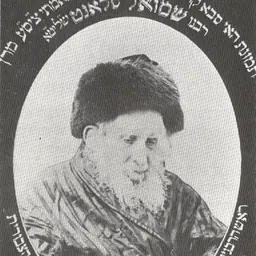 Portrait of Samuel Salant