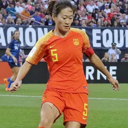 Portrait of Wu Haiyan
