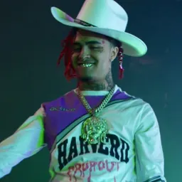 Portrait of Lil Pump