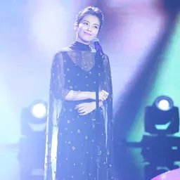Portrait of Liu Tao