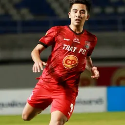 Portrait of Phituckchai Limraksa