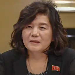 Portrait of Choe Son-hui