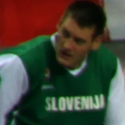 Portrait of Goran Jagodnik