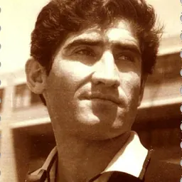Portrait of Foad Mostafa Soltani