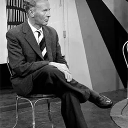 Portrait of Kees Stip
