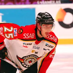 Portrait of Anton Hedman