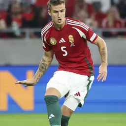Portrait of Tamás Nikitscher
